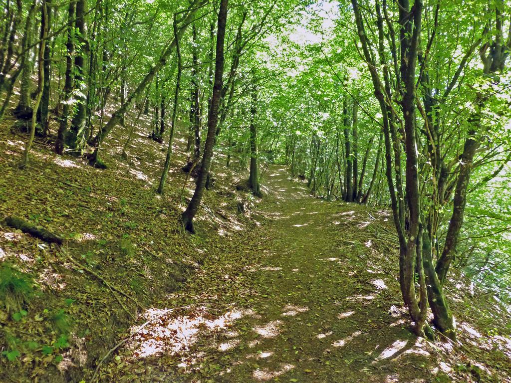 Locanda Le Panche Pistoia Buitenkant foto